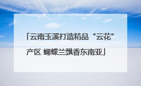 云南玉溪打造精品“云花”产区 蝴蝶兰飘香东南亚