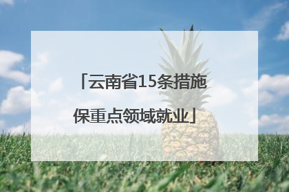 云南省15条措施保重点领域就业