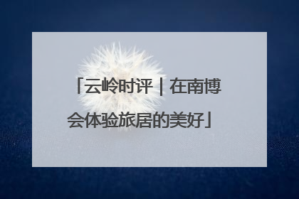 云岭时评｜在南博会体验旅居的美好