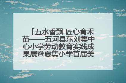 五水香飘 匠心育禾苗——五河县东刘集中心小学劳动教育实践成果展暨夏集小学首届美食节盛大举行