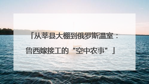 从莘县大棚到俄罗斯温室：鲁西嫁接工的“空中农事”