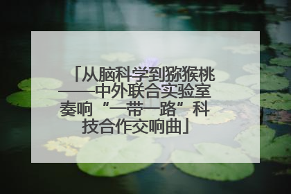 从脑科学到猕猴桃——中外联合实验室奏响“一带一路”科技合作交响曲