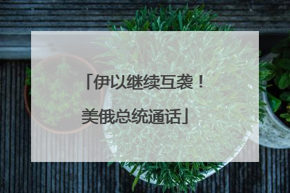 伊以继续互袭！美俄总统通话