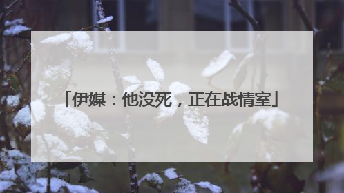 伊媒：他没死，正在战情室