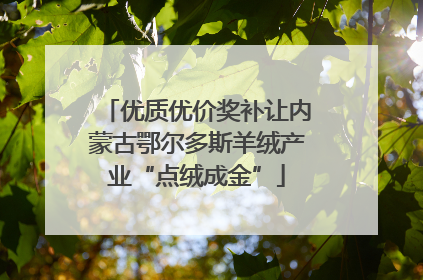 优质优价奖补让内蒙古鄂尔多斯羊绒产业“点绒成金”