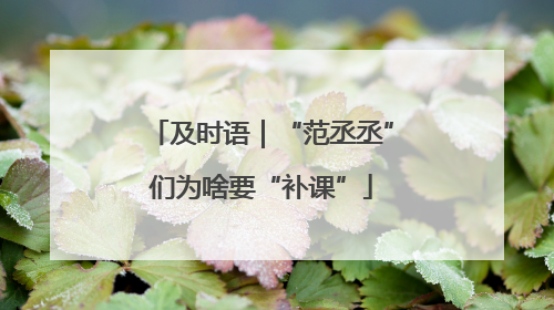 及时语｜“范丞丞”们为啥要“补课”