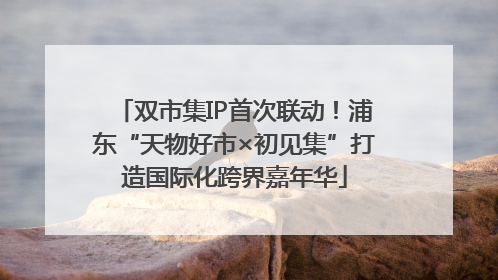 双市集IP首次联动！浦东“天物好市×初见集”打造国际化跨界嘉年华