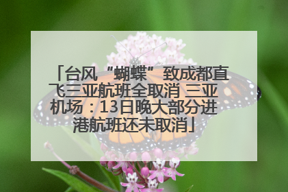 台风“蝴蝶”致成都直飞三亚航班全取消 三亚机场：13日晚大部分进港航班还未取消