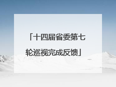 十四届省委第七轮巡视完成反馈