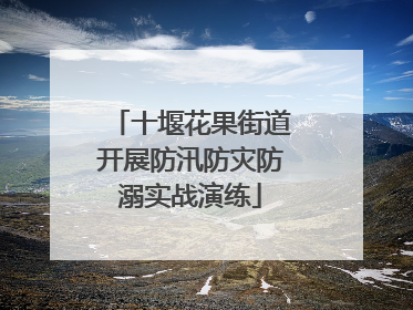 十堰花果街道开展防汛防灾防溺实战演练