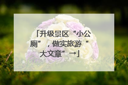 升级景区“小公厕”，做实旅游“大文章”→
