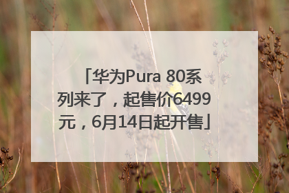 华为Pura 80系列来了，起售价6499元，6月14日起开售