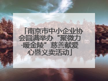 南京市中小企业协会圆满举办“聚微力·暖金陵”慈善献爱心暨义卖活动