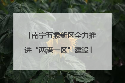 南宁五象新区全力推进“两港一区”建设