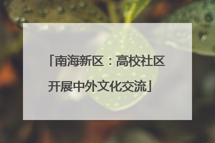 南海新区：高校社区开展中外文化交流