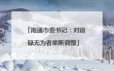 南通市委书记：对庸碌无为者果断调整