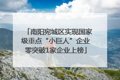 南阳宛城区实现国家级重点“小巨人”企业零突破1家企业上榜