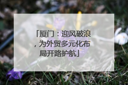 厦门：迎风破浪，为外贸多元化布局开路护航