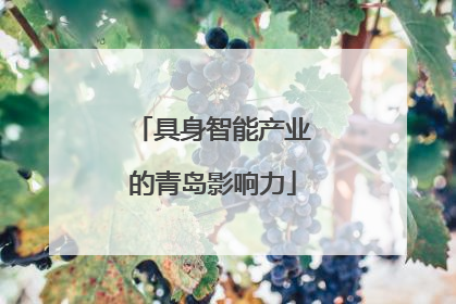 具身智能产业的青岛影响力