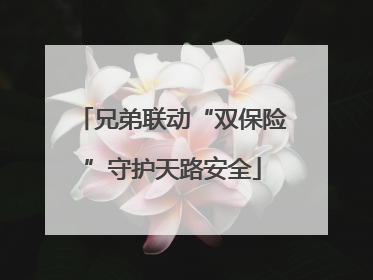 兄弟联动“双保险”守护天路安全