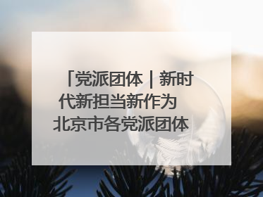 党派团体｜新时代新担当新作为 北京市各党派团体这么干！