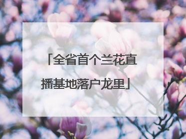 全省首个兰花直播基地落户龙里