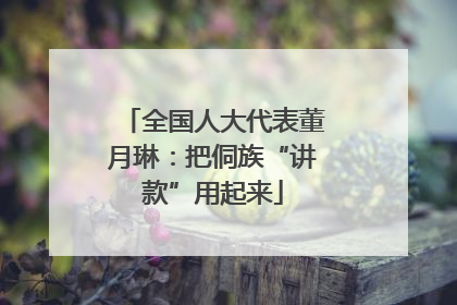 全国人大代表董月琳：把侗族“讲款”用起来
