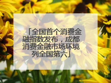 全国首个消费金融指数发布，成都消费金融市场环境列全国第六