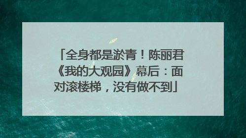 全身都是淤青！陈丽君《我的大观园》幕后：面对滚楼梯，没有做不到