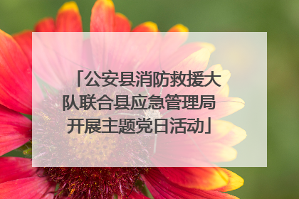 公安县消防救援大队联合县应急管理局开展主题党日活动