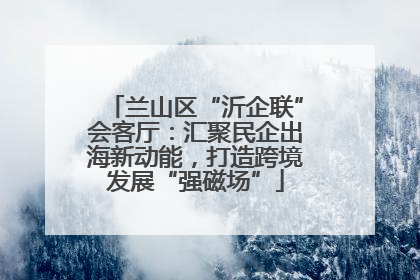 兰山区“沂企联”会客厅：汇聚民企出海新动能，打造跨境发展“强磁场”