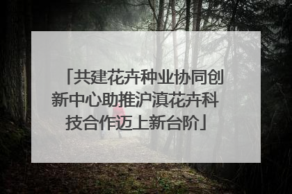 共建花卉种业协同创新中心助推沪滇花卉科技合作迈上新台阶