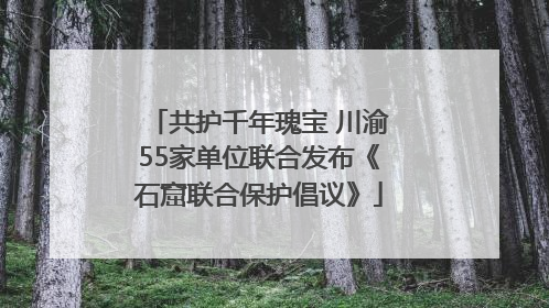 共护千年瑰宝 川渝55家单位联合发布《石窟联合保护倡议》