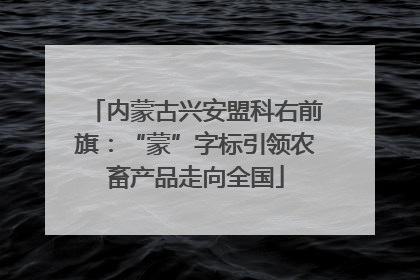 内蒙古兴安盟科右前旗：“蒙”字标引领农畜产品走向全国