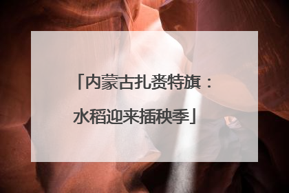 内蒙古扎赉特旗：水稻迎来插秧季
