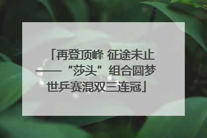 再登顶峰 征途未止——“莎头”组合圆梦世乒赛混双三连冠