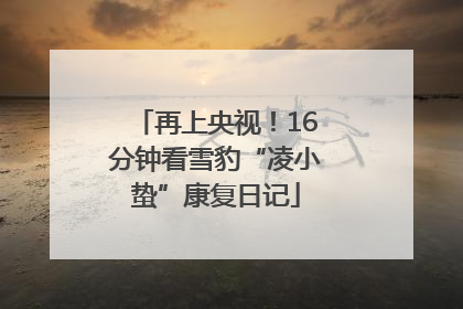 再上央视！16分钟看雪豹“凌小蛰”康复日记