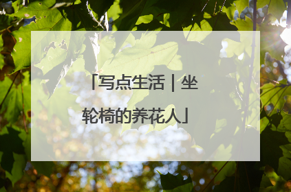 写点生活｜坐轮椅的养花人