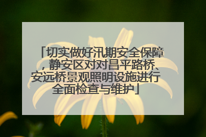 切实做好汛期安全保障，静安区对对昌平路桥、安远桥景观照明设施进行全面检查与维护