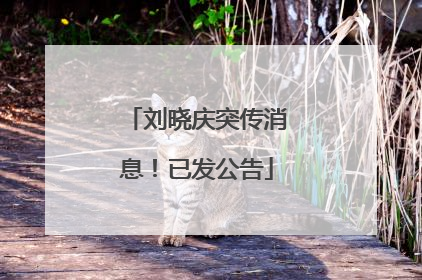 刘晓庆突传消息！已发公告