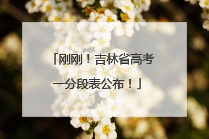 刚刚！吉林省高考一分段表公布！