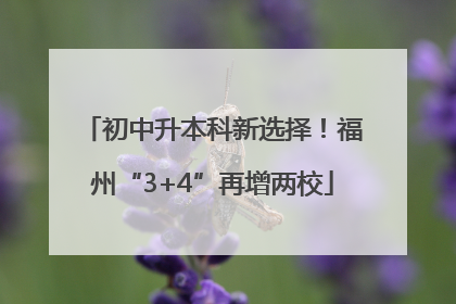初中升本科新选择！福州“3+4”再增两校