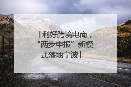 利好跨境电商，“两步申报”新模式落地宁波