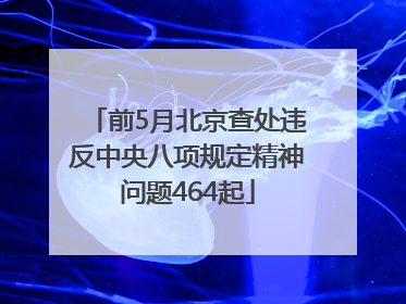 前5月北京查处违反中央八项规定精神问题464起