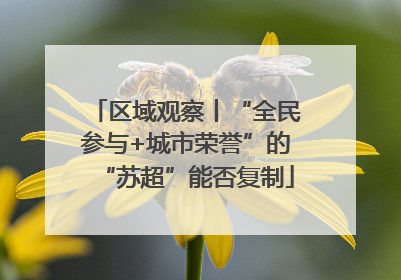 区域观察丨“全民参与+城市荣誉”的“苏超”能否复制