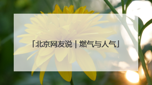 北京网友说｜燃气与人气