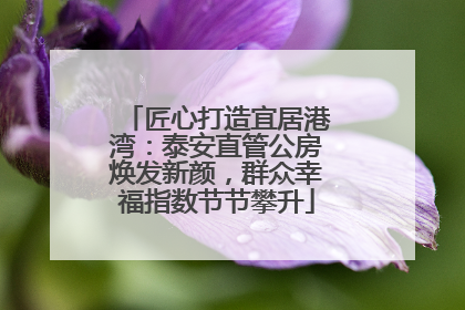 匠心打造宜居港湾：泰安直管公房焕发新颜，群众幸福指数节节攀升
