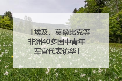 埃及、莫桑比克等非洲40多国中青年军官代表访华