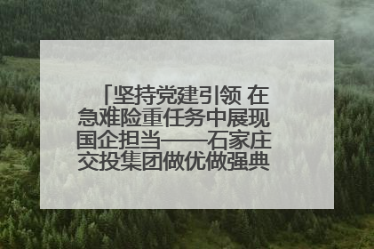坚持党建引领 在急难险重任务中展现国企担当——石家庄交投集团做优做强典型报道之一