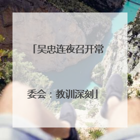 吴忠连夜召开常委会：教训深刻
